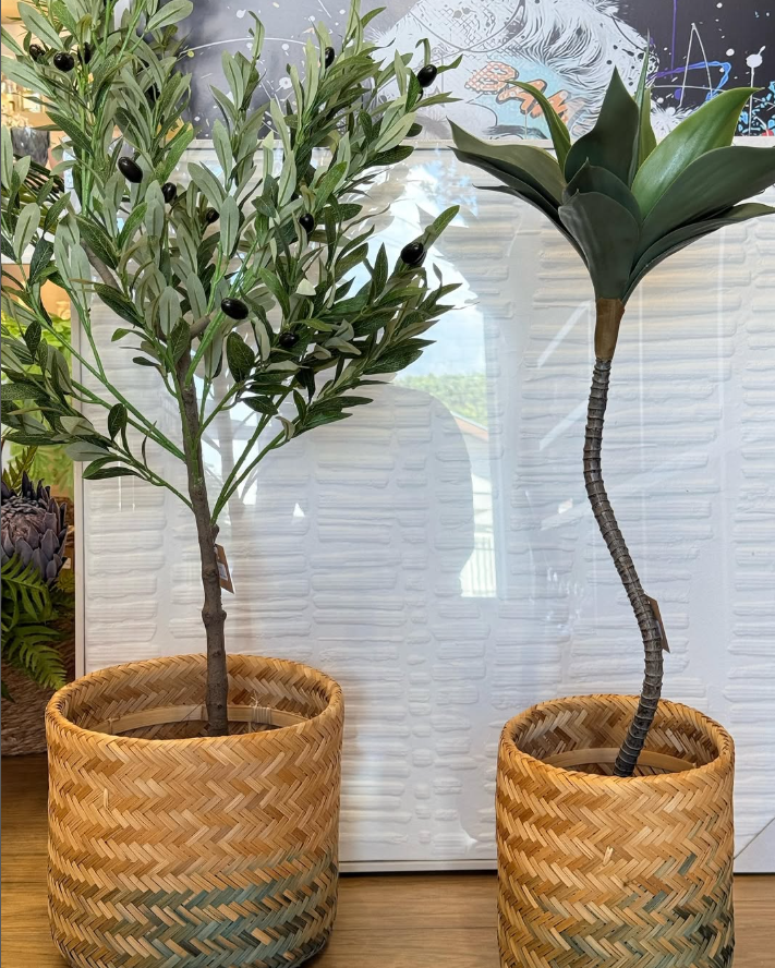 Plantas Permanentes