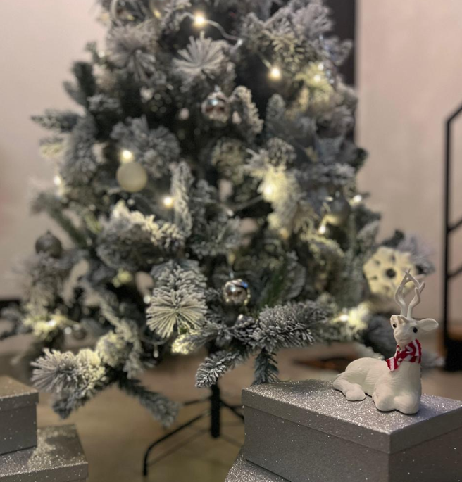Coleção Festiva